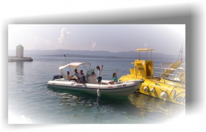 Bat artik 745